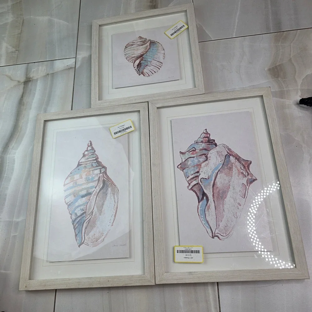 Lanie Loreth Seashell Framed Art Set 3 Coastal Nautical Watercolor Wall Decor‎